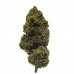 Køb Bubblegum CBD-blomst 5g